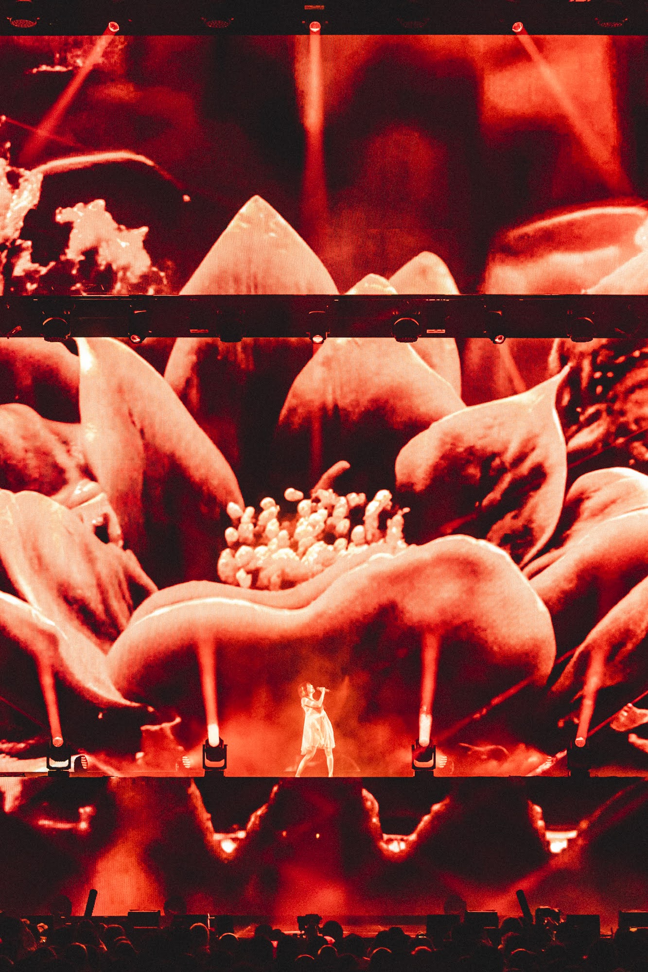 AiNA THE END ONE-MAN LIVE "nukariari" image 4